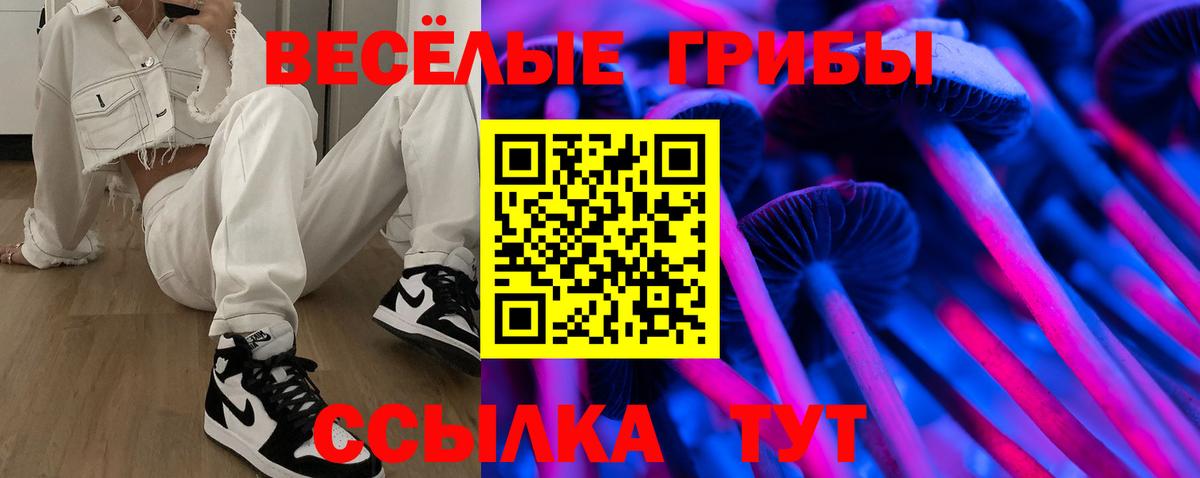 Галлюциногенные грибы мицелий  Вход с VPN  Псилоцибиновые грибы мицелий  Тара 